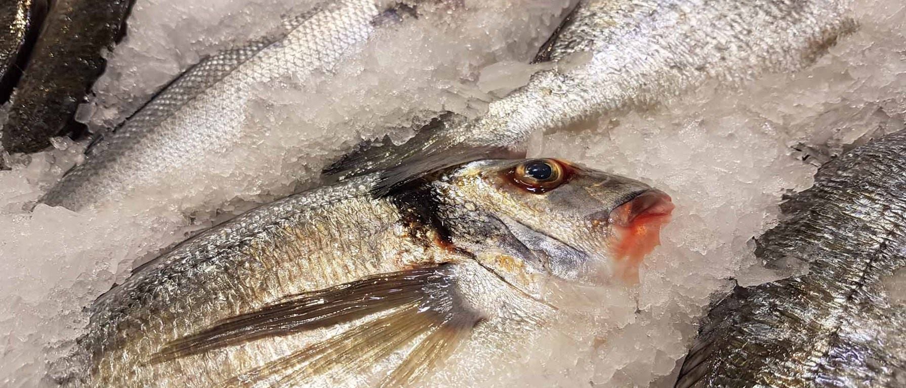 Si quieres una empresa con la mejor venta de pescado blanco al por mayor en Madrid, ¡contáctanos!